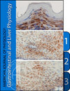 AMERICAN JOURNAL OF PHYSIOLOGY-GASTROINTESTINAL AND LIVER PHYSIOLOGY雜志封面